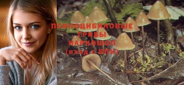 mdma Елизово