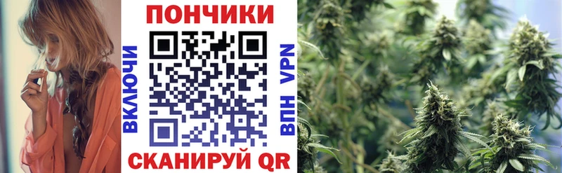 Бошки Шишки SATIVA & INDICA  Купить  Уфа 